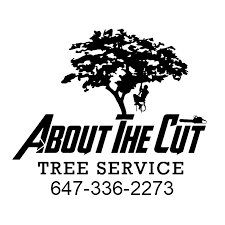 From shrub pruning to cabling, owner james mcelroy and his team of 2 workers can get the job done. Aftermath Tree Care Home Facebook