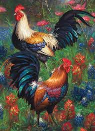 Rooster crowing compilation | roosters and their behaviour in natural habitat. 1000pc Roosters Jigsaw Puzzle By Cobble Hill Puzzle Co