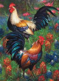 Rooster crowing compilation | roosters and their behaviour in natural habitat. 1000pc Roosters Jigsaw Puzzle By Cobble Hill Puzzle Co