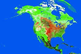 Maybe you would like to learn more about one of these? Global Road Map A Strategic Approach For Advancing Nature And Sustainability