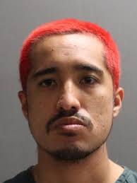 Jacksonville police make arrest in Andrew Jackson statue vandalism