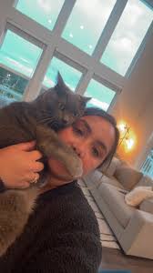 Jenkins Cat Milo Go Fund Me