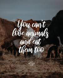 You Can T Love Animals And Eat Them Too Crueltyfree Plantbased Govegan Veganlife Organic Vegangermany Vegandeuts Vegetarier Veganer Zitate Vegane
