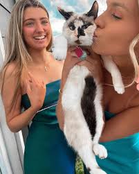 Pet therapy before formal formalities