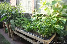 This type of planter works great for herbs like basil or rosemary, or even to make a catio for your feline friend. Ideas For Growing Vegetables In Small Spaces And Yards