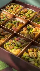 Image result for Daknopholis