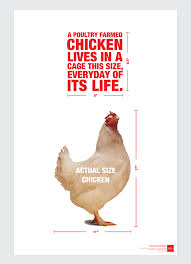 Now is the time to act! Battery Cage Animal Cruelty Awareness Poster On Behance