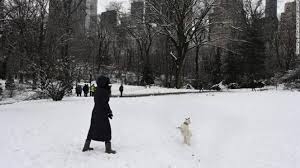 Le previsioni per new york aggiornate e affidabili. Meteo E Natura Gli Eventi Estremi Di Marzo 3b Meteo