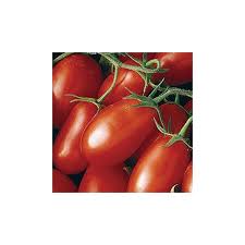 Tomato Roma Vf 50 Seeds