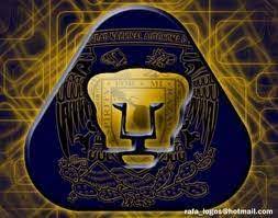 Además de los resultados del pumas unam, en flashscore.pe puedes seguir más de 1000 competiciones de fútbol de más de 90 países de todo el mundo. Rapido Tranquilizar Pasillo Imagenes De Los Pumas Arco Pantalones Ecuador