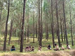 Inilah tempat wisata alam, wisata keluarga, wisata anak, air terjun, dan danau yang ada di surabaya yang paling di rekomendasikan untuk dikunjungi. Wisata Ajibarang Terbaru Dreamland Water Park Tiket Wahana Maret 2021 Travelspromo Tempat Wisata Banyumas Purwokerto Terbaru Yang Terkenal Hits Ajibarang Baturaden Sekitarnya Jawa Tengah Telaga Sunyi Durian 2019