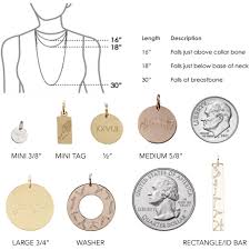 Coordinates Disc Charm Necklace