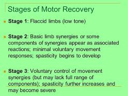 Abnormal Tone And Management Post Stroke Ppt Download What does cogwheel rigidity mean? abnormal tone and management post