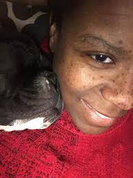 Missing Dog: Kratos Last Seen: 11/27 around 5 PM near 410 & Crossroads  Kratos is Sable in color and 115lbs est. Reward offered for any information  leading to his safe return. Contact: