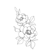 Pin By Haley Webb On Tattoo Flower Drawing Flower Sketches Tattoo Fonts