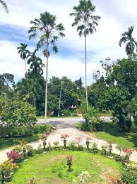 Kelurahan/desa kramat jati, kelurahan/desa batuampar, kelurahan/desa balekambang, kelurahan/desa kampung tengah, kelurahan/desa. Cantik Tak Rumah Opah Aku Ramai Tak Tahan Siap Ada Roundabout Shah Alam Depan Rumah Nenek Dia Buzzkini