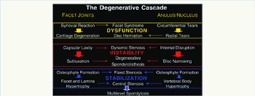 B The Three Basic Stages Of Pathology And Pathogenesis In The Download Scientific Diagram