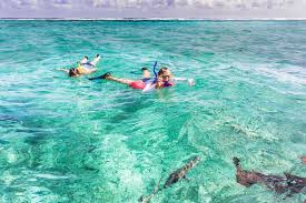 'belize barrier reef' is officially known as the 'belize barrier reef reserve system', and the area is a significant marine ecosystem that also includes. 7 Belize Barrier Reef Facts Every Scuba Diver Should Know About