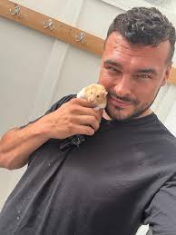 Reply with photos of your assistant 🐹 #diy #decorating #painting #foxy  #foxythedecorator