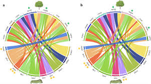 Image result for Millettia eetveldeana