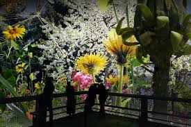 Eine zivilparade anlässlich des erfolgreichen abschlusses des 7. Carolas Garten Ein Paradies Auf Erden Leipzig Vom 26 01 2019 Bis 20 06 2021