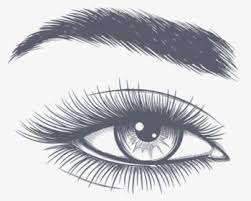 Check spelling or type a new query. Eyelashes Png Images Free Transparent Eyelashes Download Kindpng