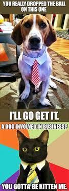 Puns Featuring A Dog Cat Involved In Business From Funny Technology Google Via Peter Angerani Funny Funny Dogs Dog Memes