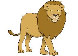 Draw this cute lion by following this drawing lesson. Lion Drawintime
