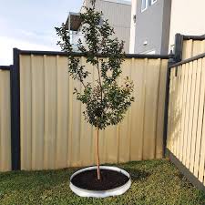 We would like to show you a description here but the site won't allow us. Birdies 700mm Round Tree Surround Raised Garden Kit Bunnings Australia