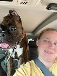 What are durable and reasonably priced back seat protectors for dogs?