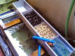 Berikut adalah beberapa tips yang bisa dilakukan untuk menjaga kebersihan aquarium di rumah anda : Cara Merawat Air Aquarium Agar Tetap Bersih Dan Kinclong Ikanesia Id