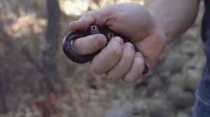 Https Encrypted Tbn0 Gstatic Com Images Q Tbn 3aand9gcstv5fmycw3tr6co9e4kwkumjmwnmr2elvzsq Usqp Cau