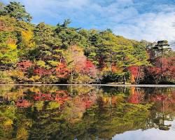 神戸市立森林植物園（AI 生成）