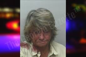 Debra Cribbs — Lanier County Jail Bookings