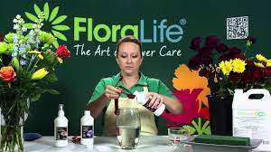 1) the interest why the snow and ice are melting. Easy Flower Science Fair Project Wehavekids