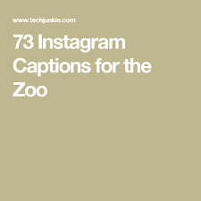 134 Instagram Captions For The Zoo Good Instagram Captions Instagram Captions Clever Instagram Captions