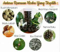 2.0.1 harumita jamu empot ayam madura. Khasiat Jamu Perapat Dara Jamu Manjakani Murni Facebook