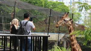 Sejumlah kawasan wisata di dki jakarta ditutup sementara untuk umum hingga 18 mei 2021. Kebun Binatang Bandung Masih Menjadi Magnet Wisatawan
