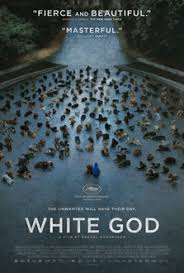 It was parodied everywhere, repeated keep in mind in these quotes are just from movies since 1992. White God Quotes Movie Quotes Movie Quotes Com