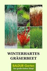 Der artikel 23 des grundgesetzes für die bundesrepublik deutschland in der fassung von 1949 ist ein inzwischen aufgehobener grundgesetzartikel, der den geltungsbereich des grundgesetzes in der neu geschaffenen bundesrepublik deutschland regelte. 32 Ziergraser Winterharte Uberlebenskunstler Ideen Gras Winterhart Pflanzen