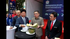 Maybe you would like to learn more about one of these? Salahuddin Frozen Durian Exports To China To Reach 1 000 Metric Tonnes Monthly Nsttv