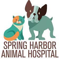 Join the truesdell animal care hospital and clinic family today! Spring Harbor Animal Hospital 1 193 Photos Veterinarian 5129 University Ave Madison Wi 53705
