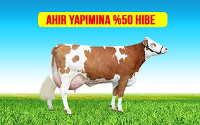 Modern Ahir Yapimi 50 Devlet Destegi Modern Ciftlikler