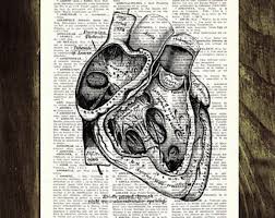 Heart And Lungs Anatomy Book Page Print On Vintage Encyclopedic Page Upcycled Gift Anatomy Art Ska030 Anatomy Art Book Art Print Collage
