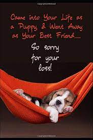 Direct messages are ideal when you want to send a message right away. Came Into Your Life As A Puppy And Went Away As Your Best Friend So Sorry For Your Loss Charming Unique Sympathy Card Gift In One For Loss Of Journal