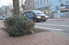 Die abholung erfolgt jeweils am tag der biotonnenabfuhr in ihrem stadtteil. Bremerhaven Dann Werden Die Weihnachtsbaume Abge
