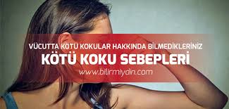 Vucutta Olusan Kotu Kokunun Nedenleri Nelerdir Vucuttaki Kotu Kokular Hakkinda Ilginc Bilgiler Bilgi Insan Vucudu Koltuk Alti