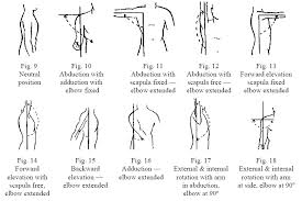 61 Curious Permanent Disability Indemnity Chart