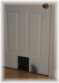 Cat Door Pet Door Cat Door Diy