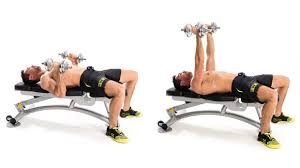 How To Master The Bench Press Coach Exercise Guides